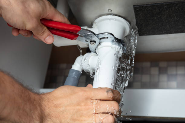 Best Water damage restoration mold remediation  in Thomson, GA