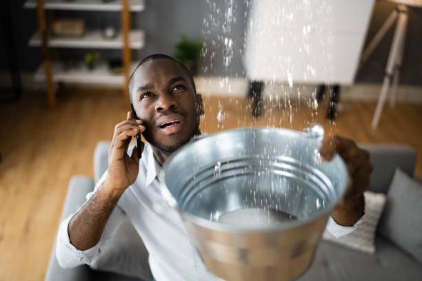 Best Water damage cleanup near me  in Thomson, GA