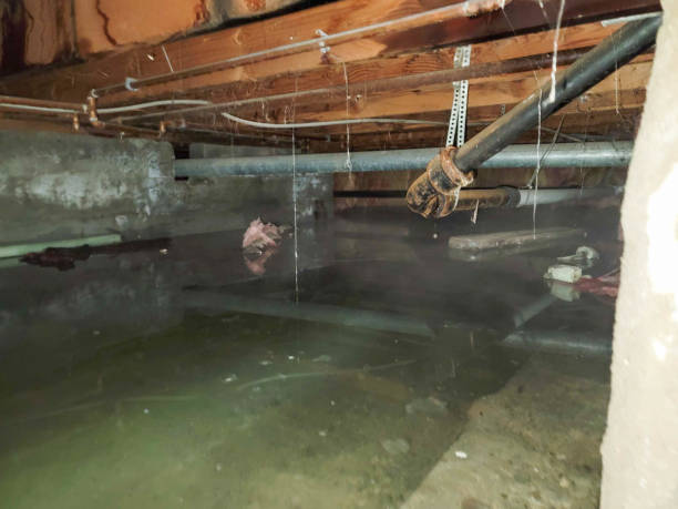 Best Sewage cleanup and water damage restoration  in Thomson, GA