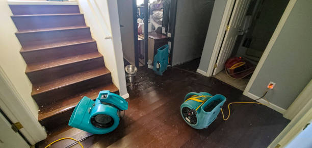 Best Carpet water damage restoration  in Thomson, GA