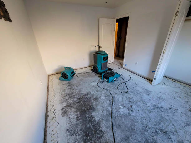 Best Water damage restoration near me  in Thomson, GA