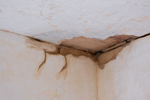 Best Flood damage cleanup  in Thomson, GA