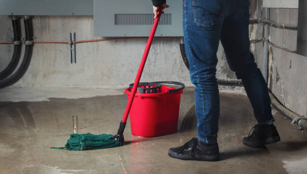 Best Water damage contractors near me  in Thomson, GA