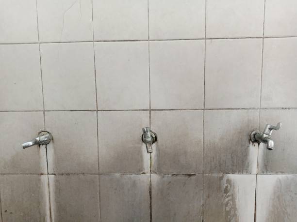 Best Mold removal after water damage  in Thomson, GA