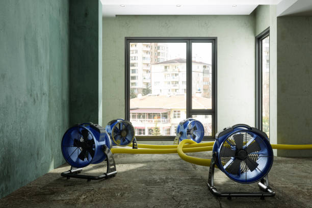 Best Water damage restoration near me  in Thomson, GA