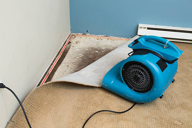 Best Flooded house restoration  in Thomson, GA